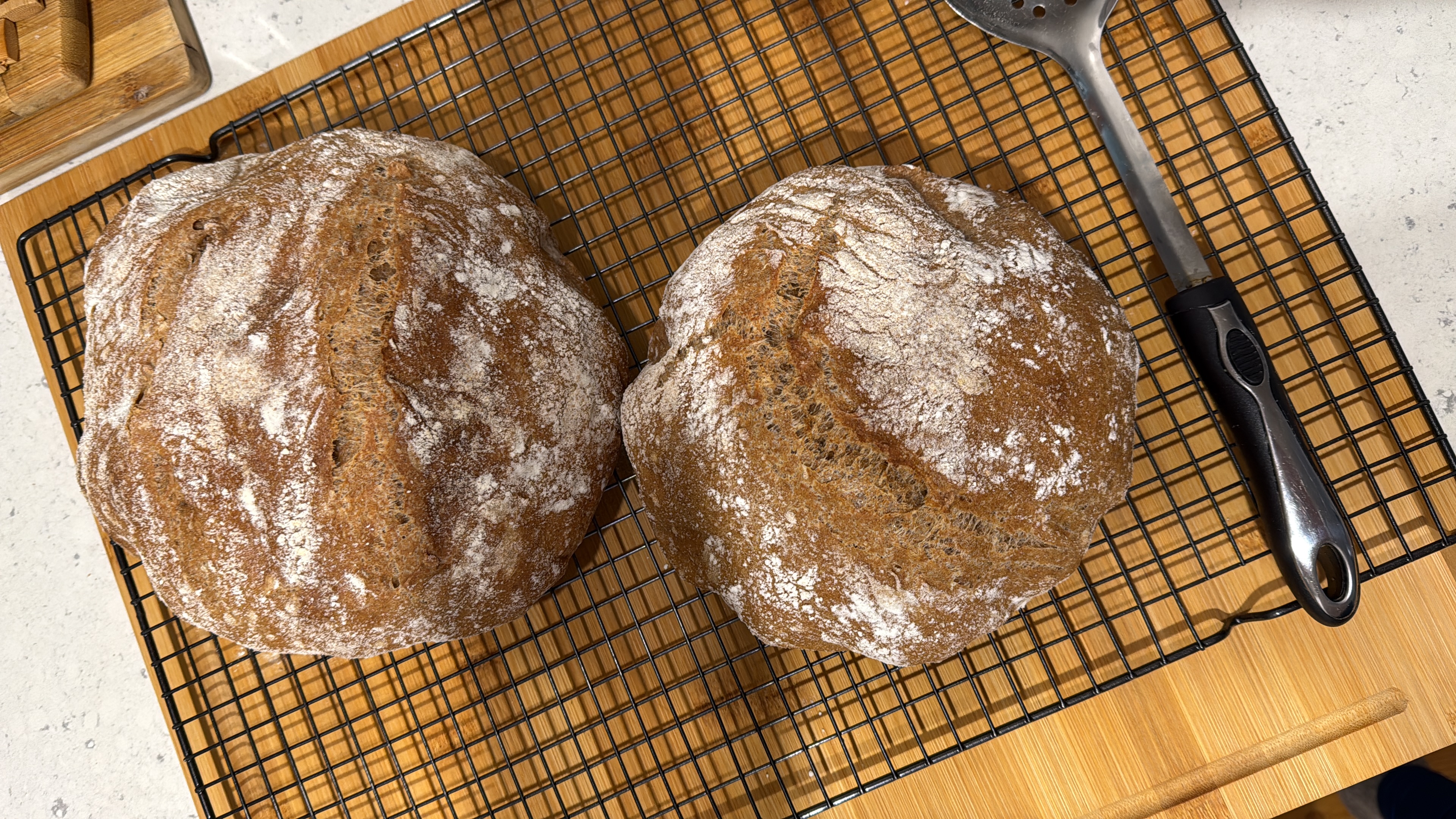 Whole wheat artisan bread